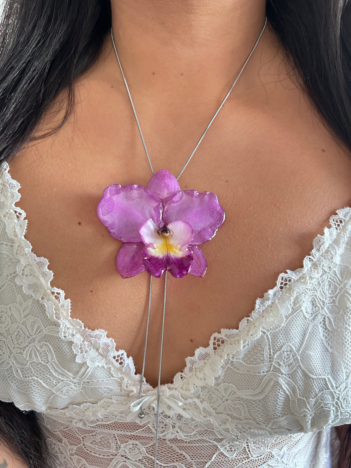 Cattleya de colección