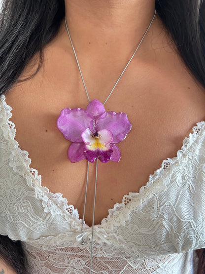 Cattleya de colección