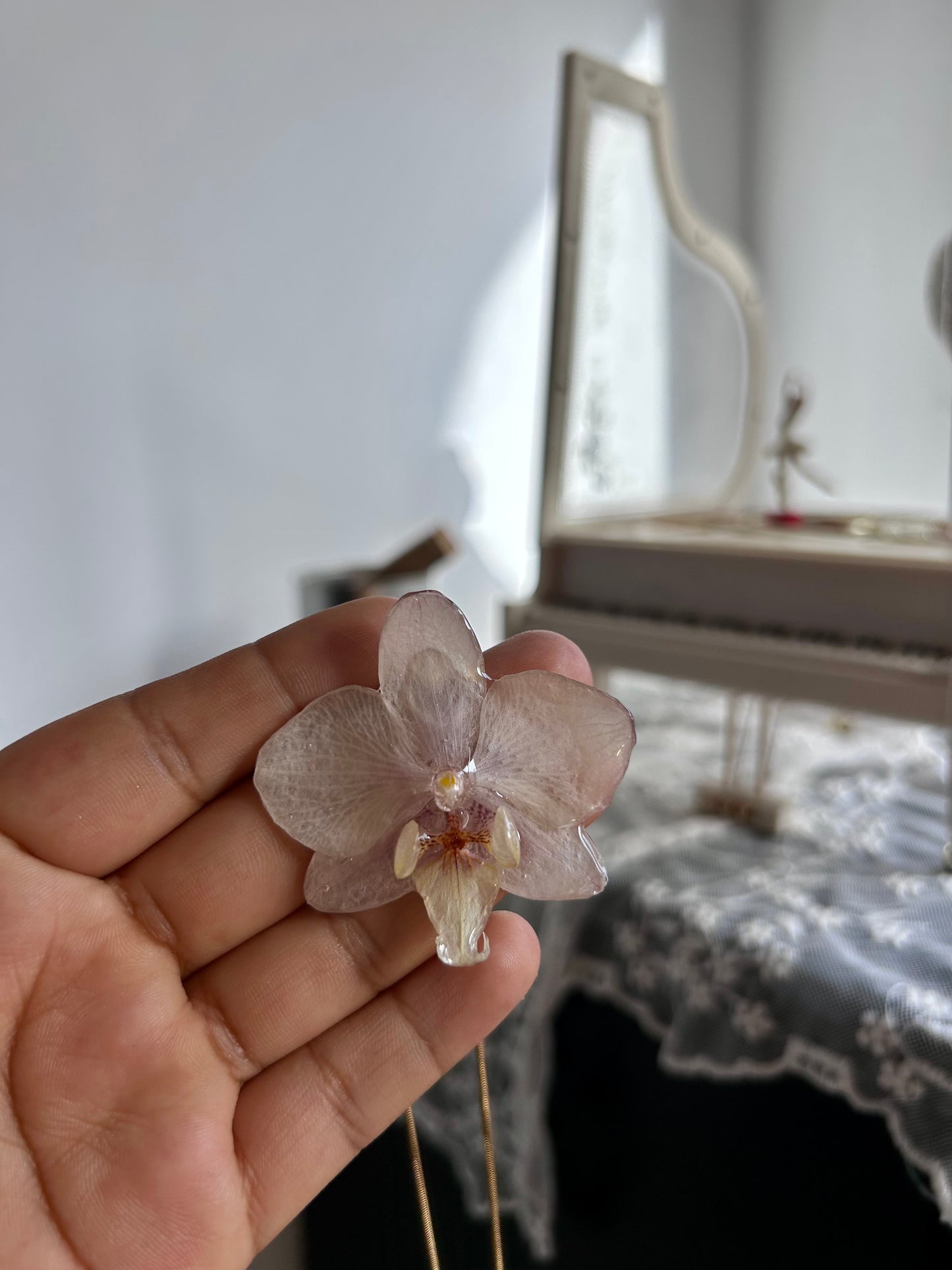 Orchid mini white