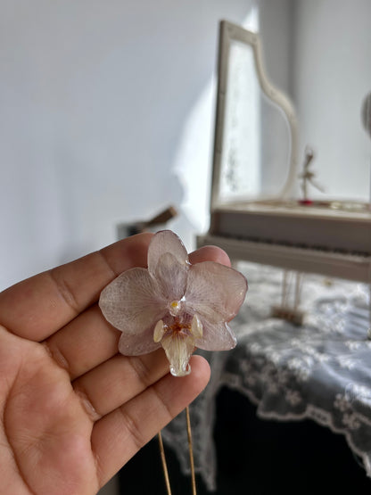 Orchid mini white