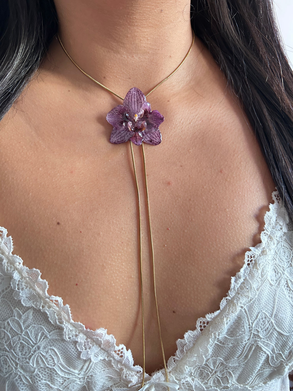 Phalaenopsis híbrida