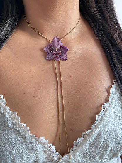 Phalaenopsis híbrida