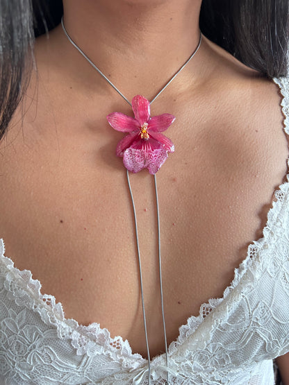 Nelly isler pink