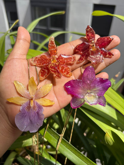 Wild exotic orange orchid