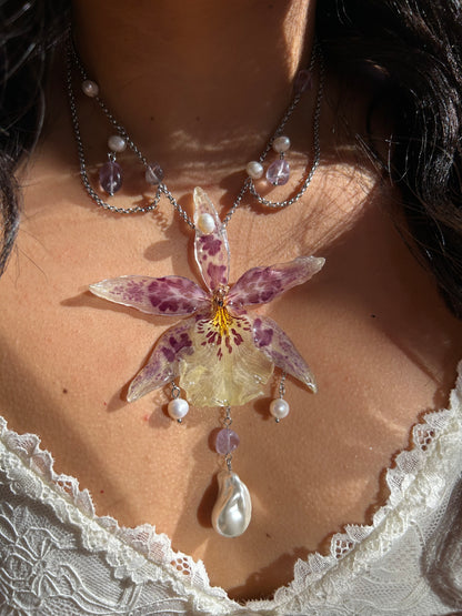 Beallara Celestial