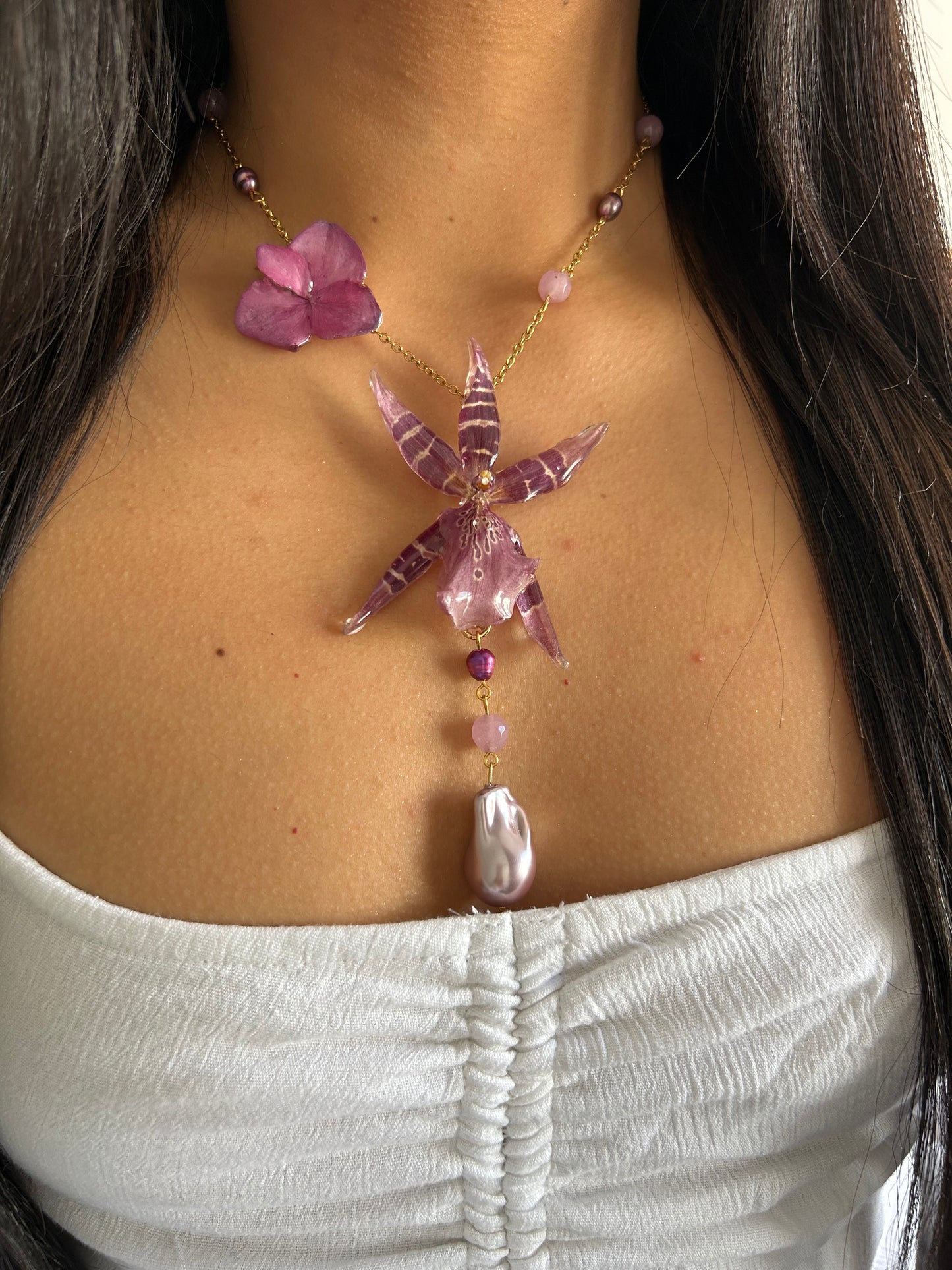 Brassia pink
