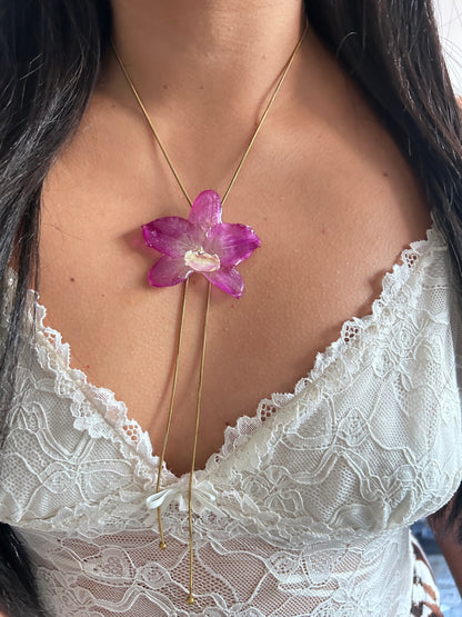 Orchid dendrobium nobile