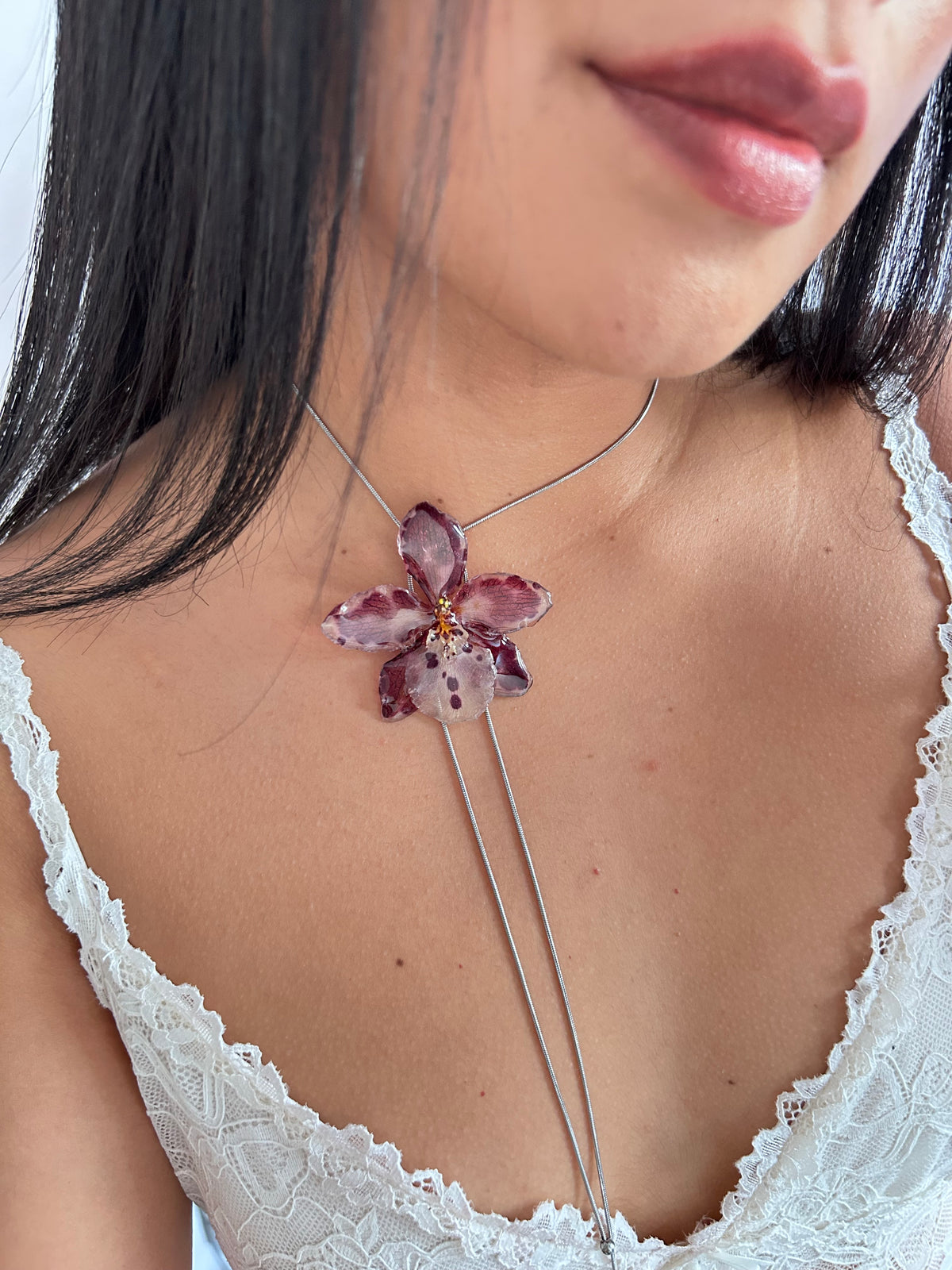 Exotic orchid Cambria
