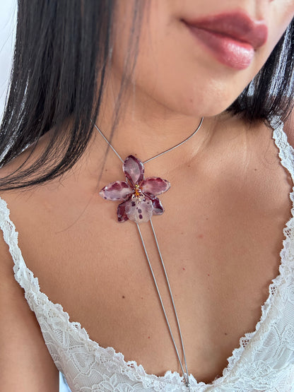 Exotic orchid Cambria