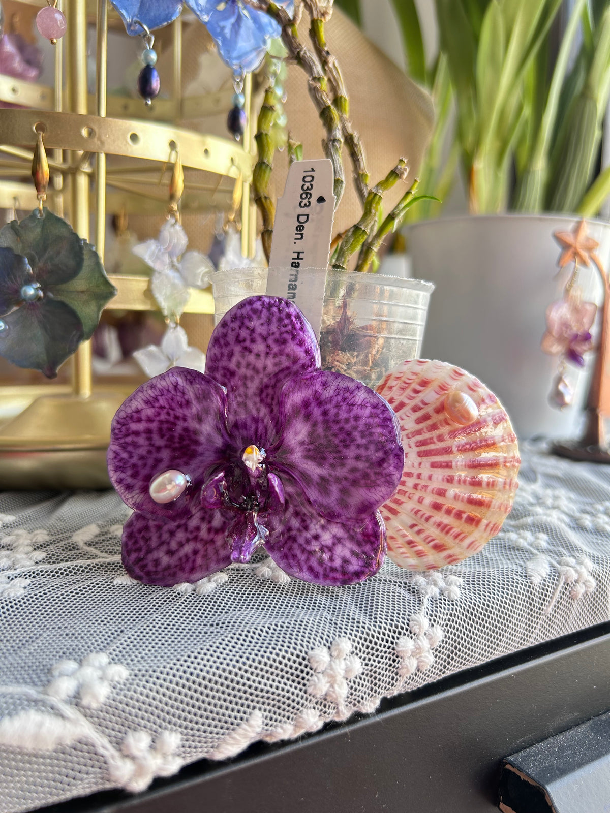 Gran clip Phalaenopsis moteada
