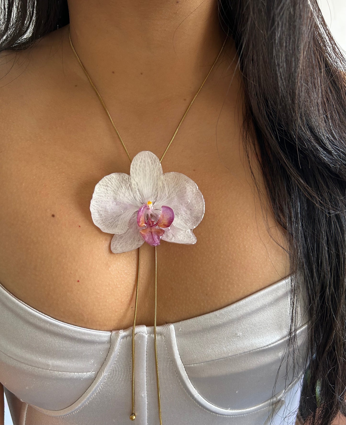 White  phalaenopsis orchid