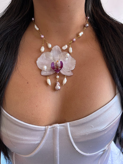 Phalaenopsis 'Rain of Pearls'