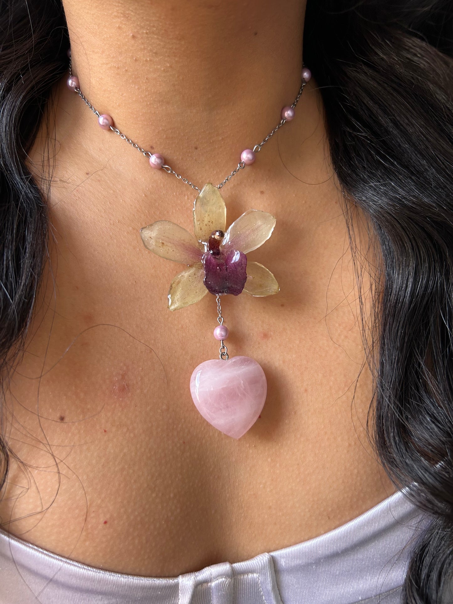 Tropical orchid