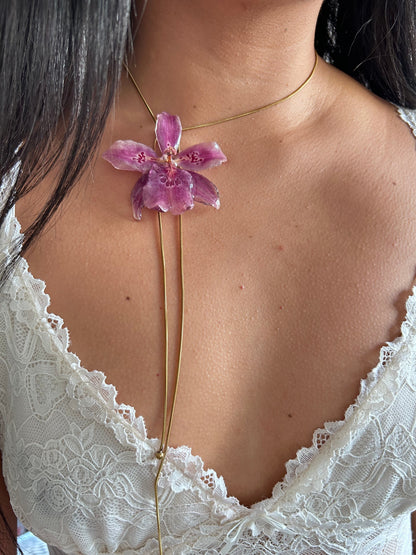 Orchid Beallara pink