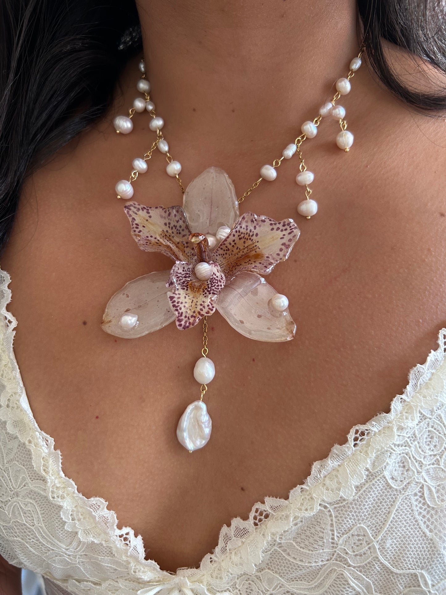 Orchid Chloe✨
