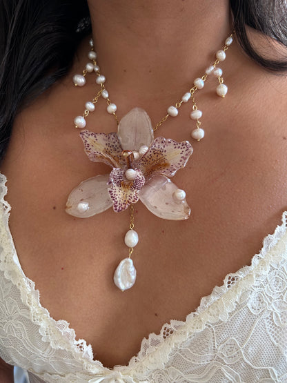Orchid Chloe✨