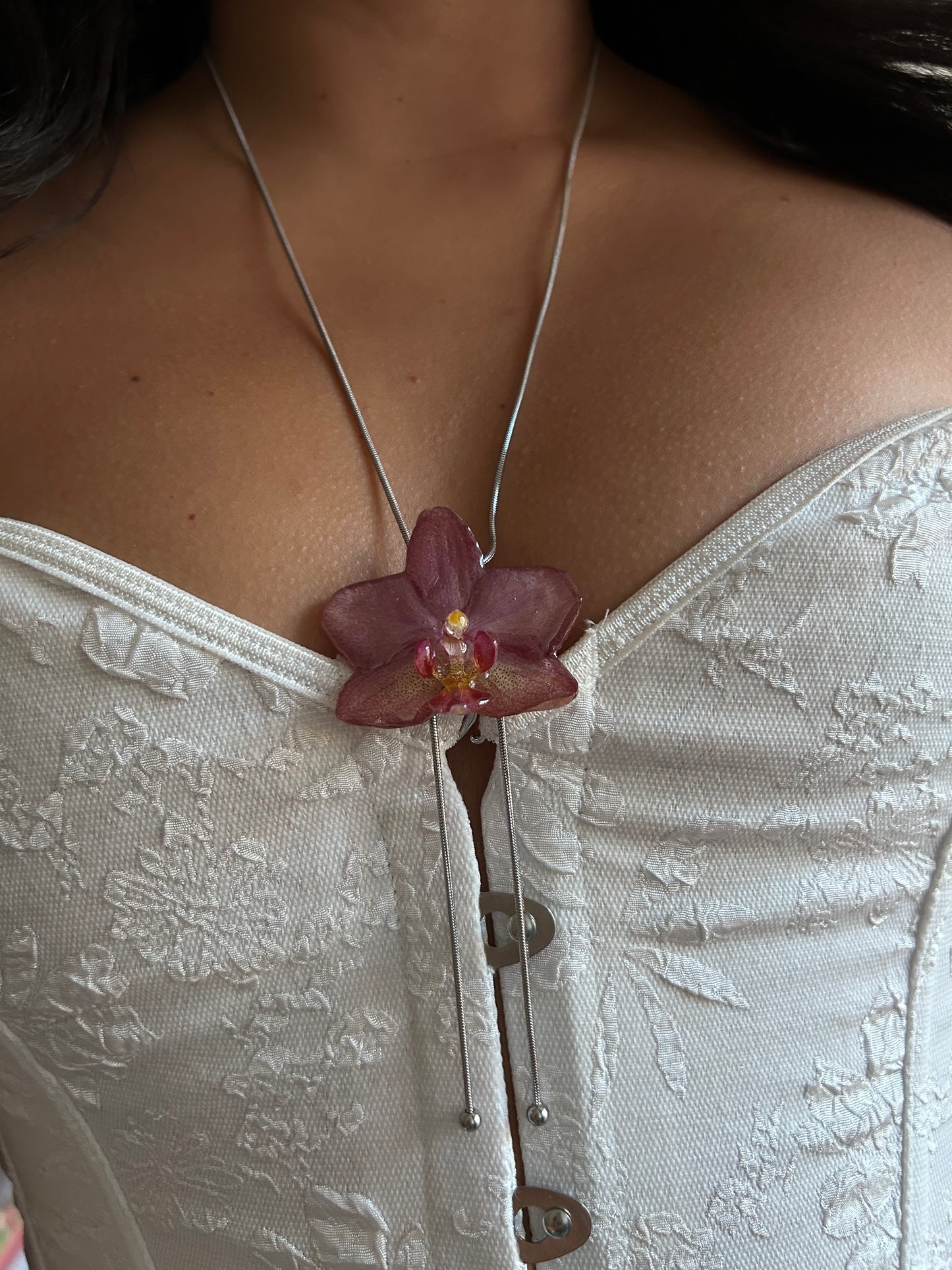 Mini pink Phalaenopsis orchid