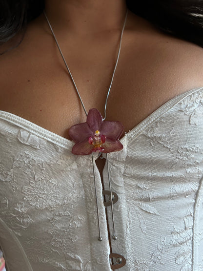 Mini pink Phalaenopsis orchid