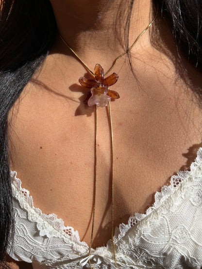 Caramel cambria orchid