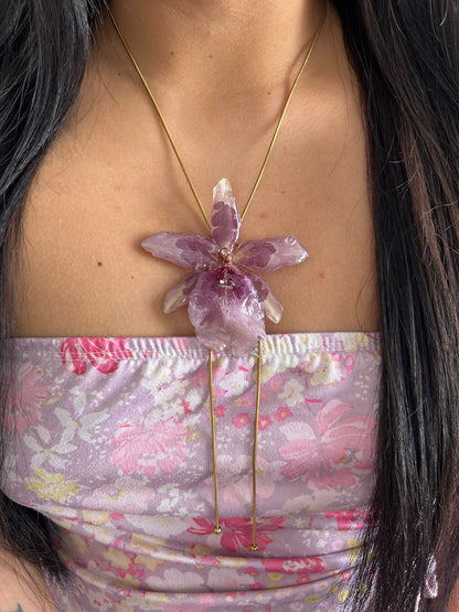 Orchid Beallara