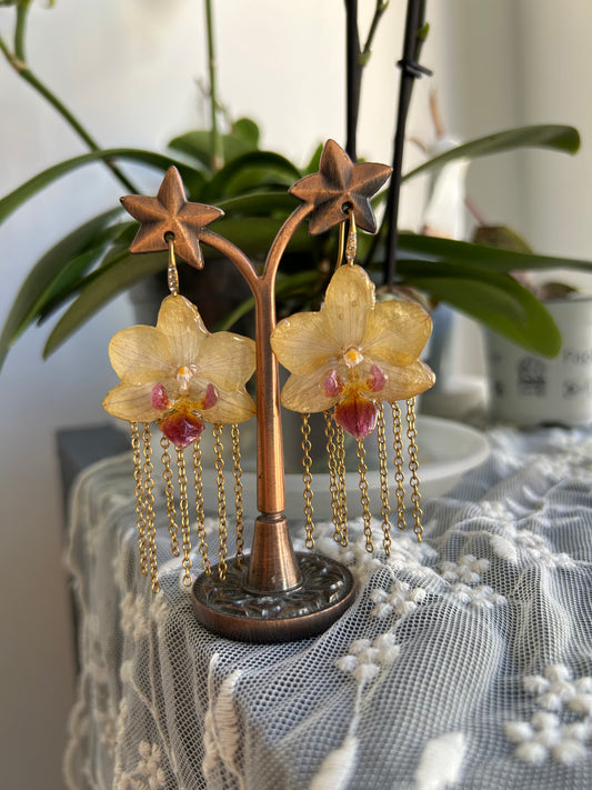 Pastel yellow orchid earrings
