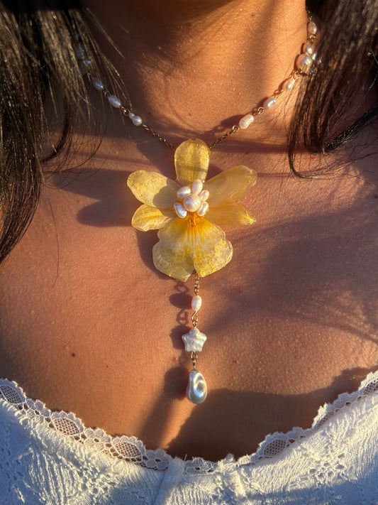 Lluvia de Perlas Nelly isler