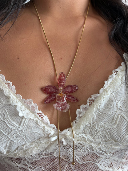 Exotic orchid red