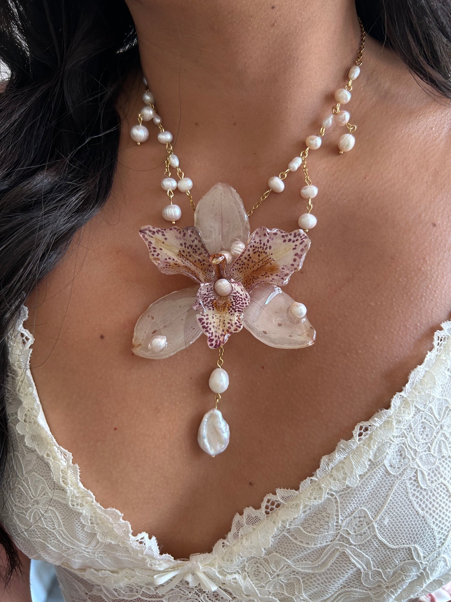 Orchid Chloe✨