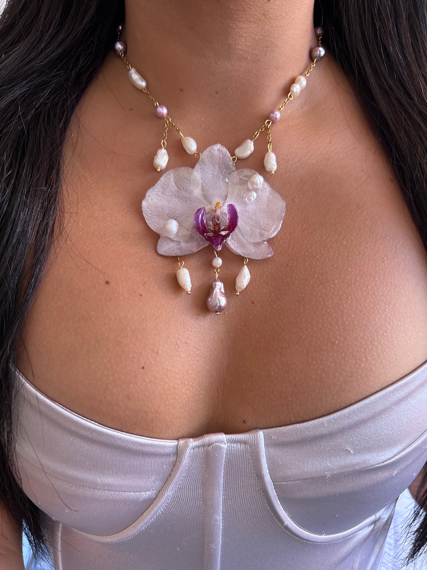 Phalaenopsis 'Rain of Pearls'