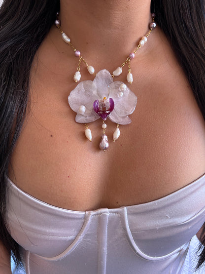 Phalaenopsis 'Rain of Pearls'