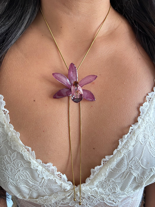 Cymbidium malva