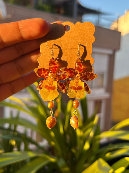 Mini yellow cambria earrings