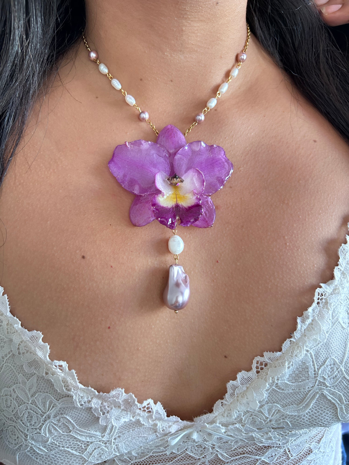 Reina Cattleya  fucsia
