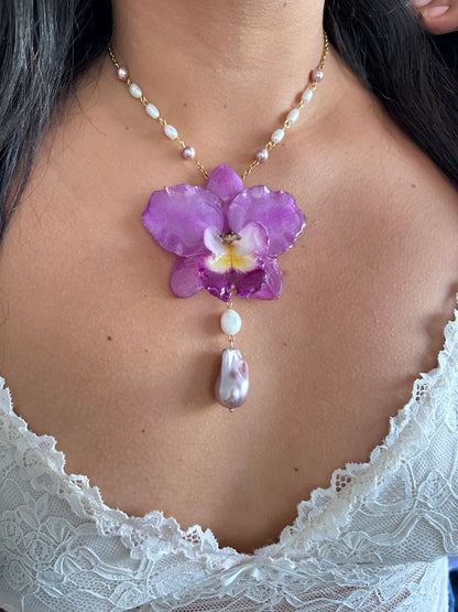 Reina Cattleya  fucsia