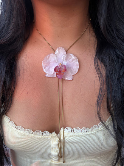 Grand Orchid White