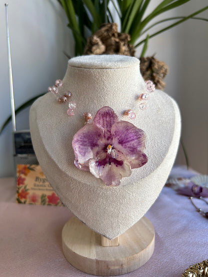 Lilac orchid glow