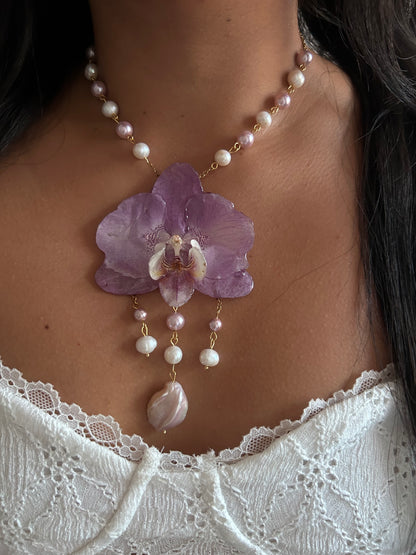 Dulce lila Orchid