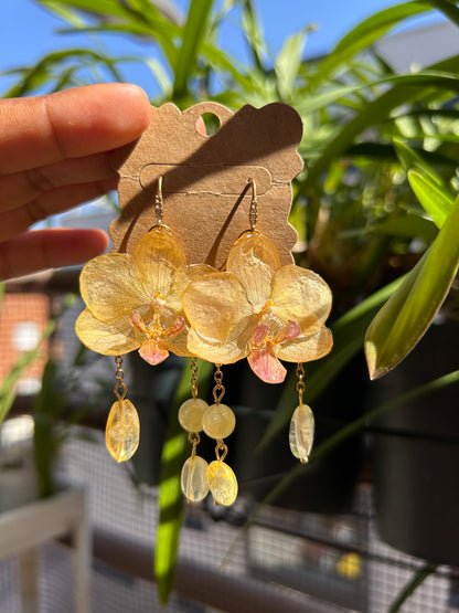 wild yellow mini orchid earrings