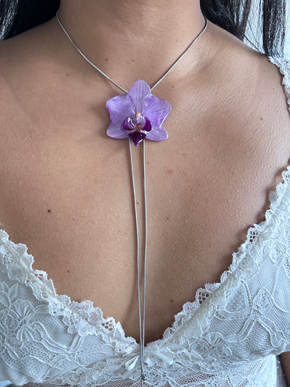 Phalaenopsis mini silver