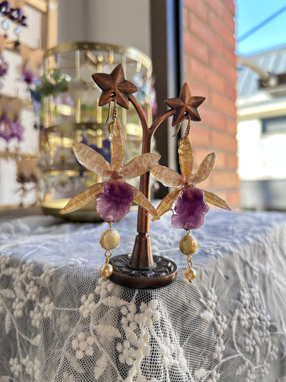 Miltoniopsis earrings
