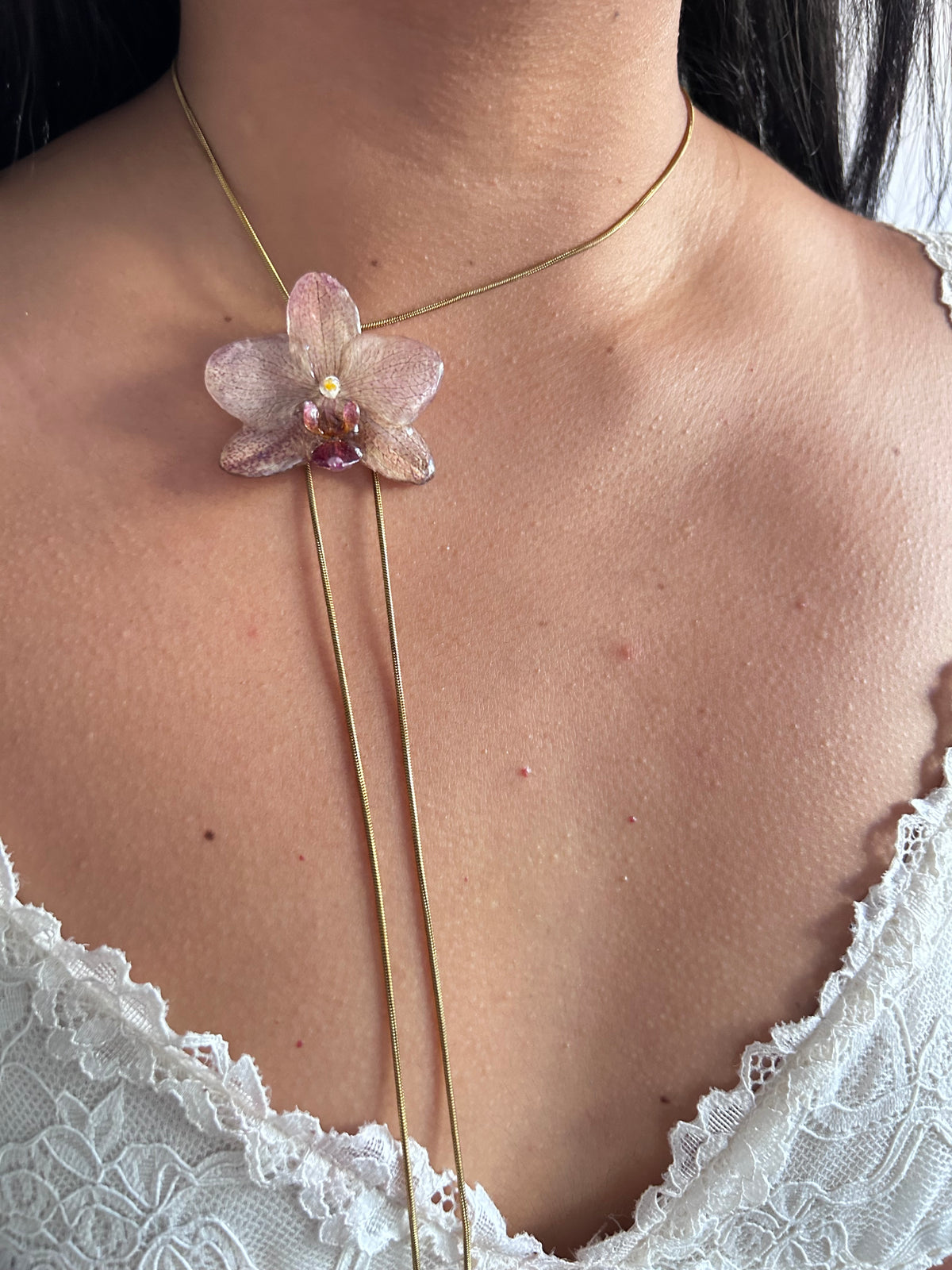 Phalaenopsis picosa