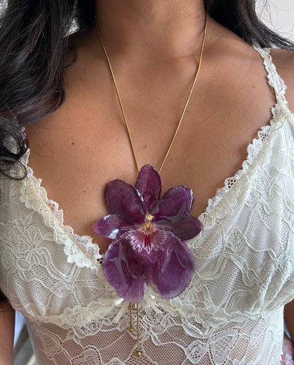 Gran Miltonia