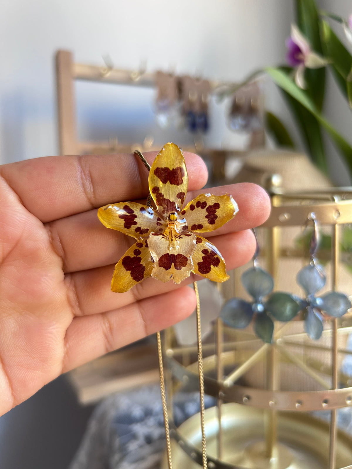 Exotic orchid wild yellow