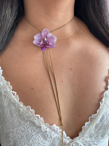 Orchid mini purple