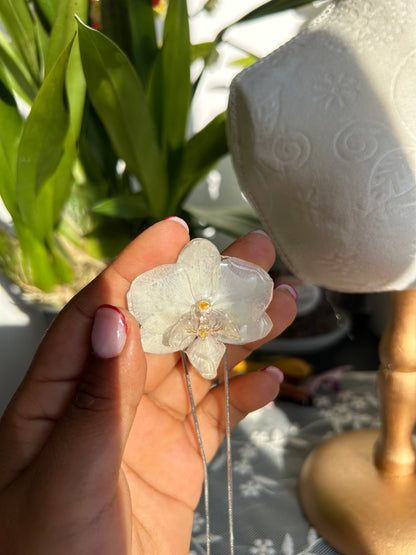 Orchid white