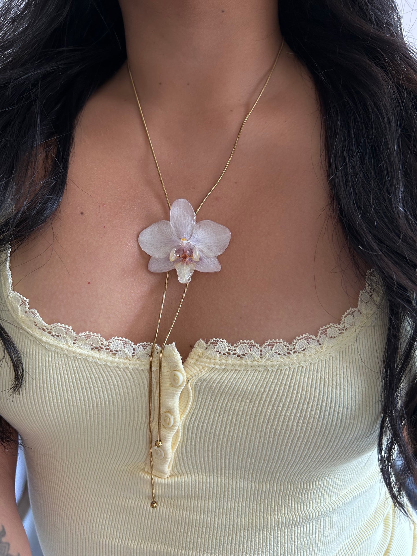 Orchid mini white
