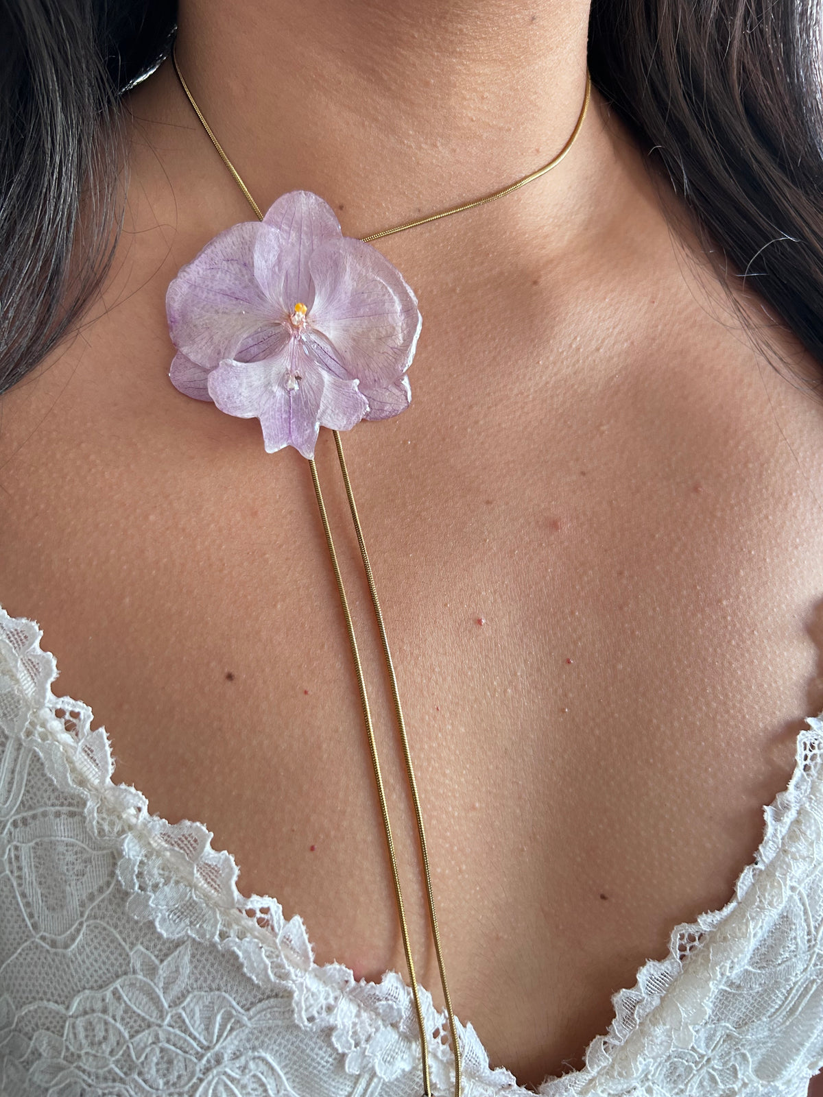 Phalaenopsis suave lila