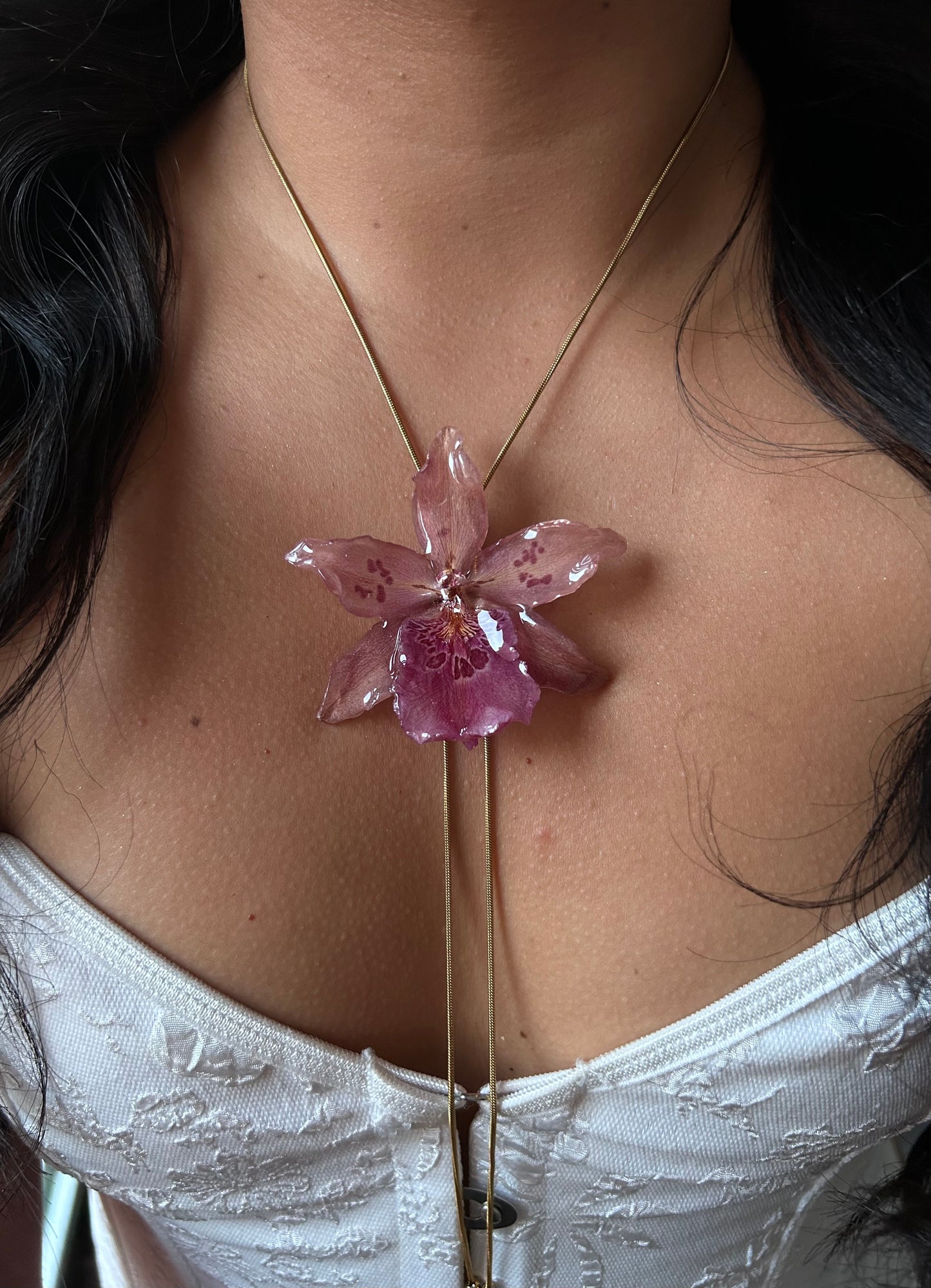 Orchid Beallara pink