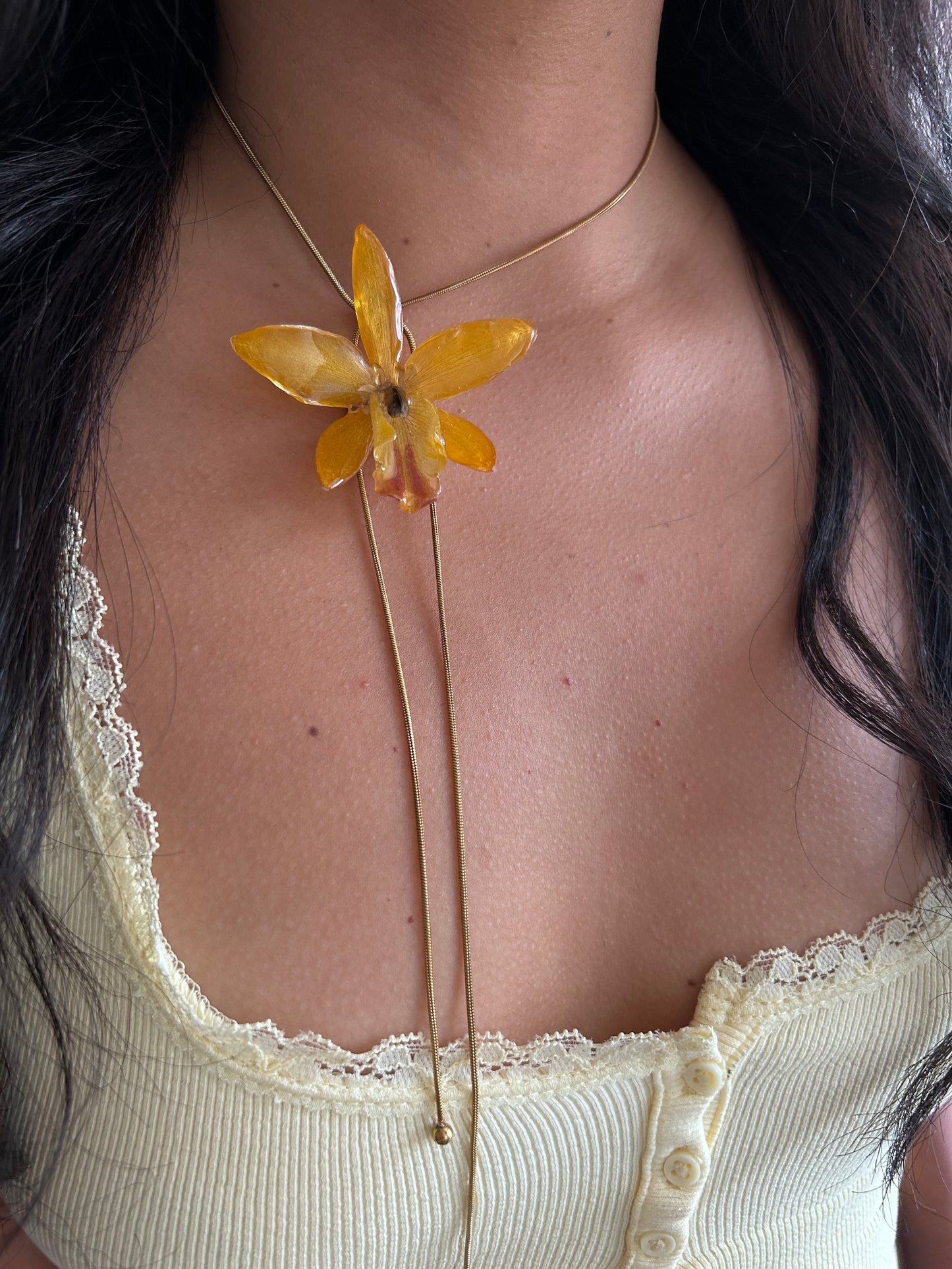 Cattleya wild yellow
