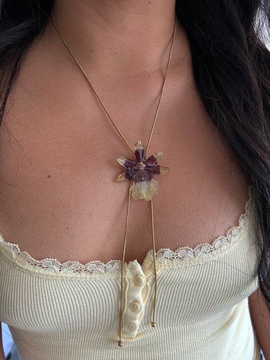 Exotic orchid mini